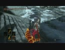 【ダークソウル３】趣味の侵入４７