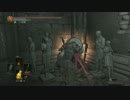 【綿月姉妹の珍道中】東方絶望黙示録：22ページ目【ダークソウルⅢ】