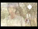 【オルゴールアレンジ】 rebirth 【仮面ライダー剣】