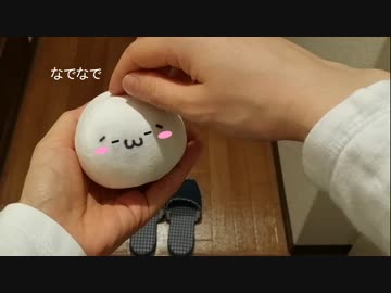 ｼｮﾎﾞｰﾝ(´･ω･`)がお出迎えしてくれる動画