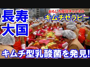 【韓国が世界最長寿国】 キムチセラピーが世界を救う！