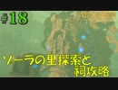 盗賊リンクのゼル伝BOW実況part18