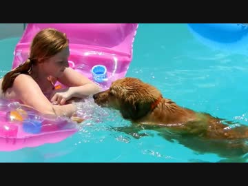 美少女からベッドを奪うゴールデンレトリバーさんがかわいい