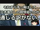 【ゆっくり保守】沖縄パヨクのアメリカ人に対するヘイトスピーチの実態