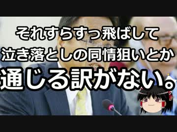 【ゆっくり保守】沖縄パヨクのアメリカ人に対するヘイトスピーチの実態