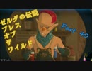 実況とはよべないゲームプレイ【のんびり冒険 ゼルダの伝説BotW】40