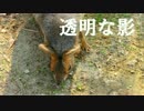 透明な影　初音ミクオリジナル曲