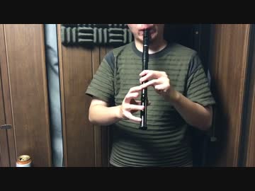 アナザーエデンのラウラドームの曲をアイリッシュ楽器で演奏してみた。