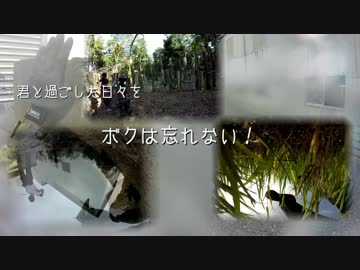 【サバイバルゲーム】R.I.P.【CeVIO】