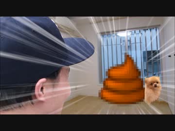 チ　　　シ　　　ア