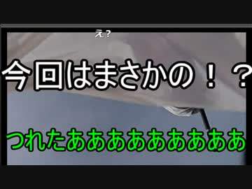 【海釣り】まさかの大物をGETその後の悲劇【ジミー苛原】