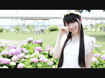【神沢有紗】ミルククラウン・オン・ソーネチカ【踊ってみた】