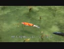 VTR-Fに乗ってモネの池を見に行ってきた【再アップ】