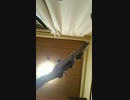 yonige「アボカド」を機材揃えずにベースで弾いてみた