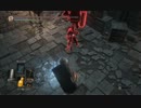 【DARK SOULS3】ダークソウル3初見実況プレイ221
