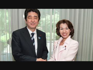 豊田真由子が全く気付かないうちにガバ穴になる ニコニコ動画