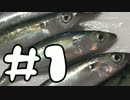 【料理】適当に釣った魚でスターゲイジーパイを作る【アウトドア】