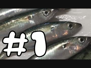 【料理】適当に釣った魚でスターゲイジーパイを作る【アウトドア】