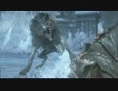 一生二魂による悪魔狩り4thPart16