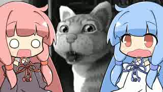 ことのはにゃんこあどべんちゃー Ep.01