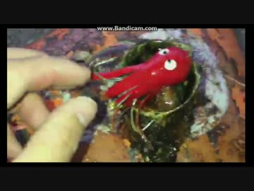 空き缶タコ.ｍｐ4