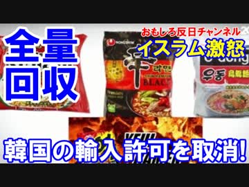 【インドネシアが韓国商品を輸入禁止】 ハラール認証なんてウソッぱち！