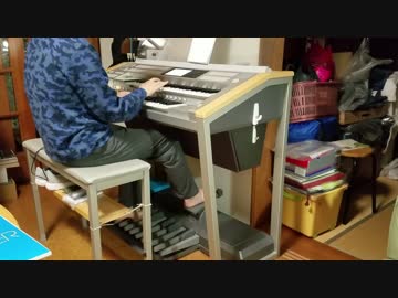 【第9回東方ニコ童祭】色は匂へど 散りぬるを　弾いてみた