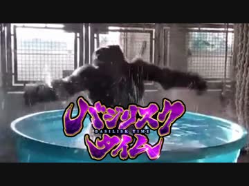 ゴリラスクタイム