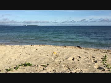 【ゆっくり】　日本一周自転車旅　part42　大宜見⇒名護