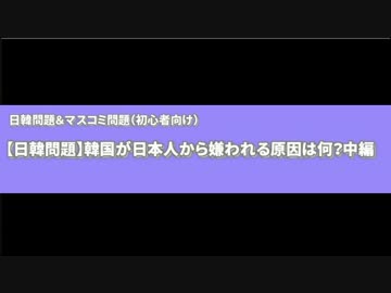 【日韓問題】韓国が日本人から嫌われる原因は何？中編