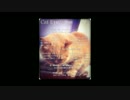 Stan - Cat Eye