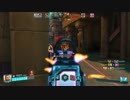 【Paladins】初代オーバーウォッチで焼く。