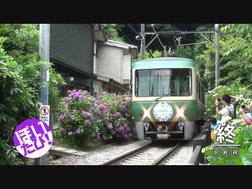 【結月ゆかり】ぽいたび！ 鎌倉あじさい巡り 御霊神社&成就院【旅動画】