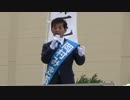 【2017/6/24】日本第一党岡村みきお候補　街頭演説　八王子みなみ野駅