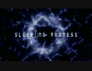 【第9回東方ニコ童祭】Sleeping Madness【U.N.オーエンは彼女なのか?】