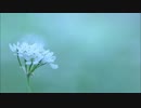 【off vocal】I STAND ALONE
