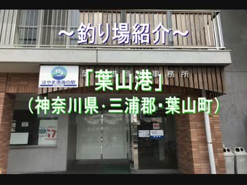 釣り場紹介 その12（葉山港）＆伝えたいこと
