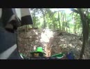 Dトラで林道散歩してみた。(プチアタック)