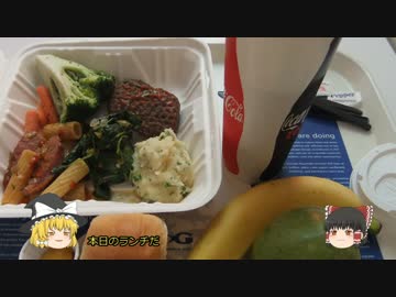 そこに水槽があるからだ 4 アトランタ　ジョージア水族館 後編