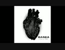 Sarea - The Others
