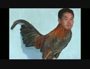 にわとりと化した先輩.full