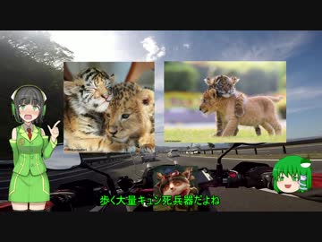 ゆっくり感染るV-strom650旅行記part5【長者原】