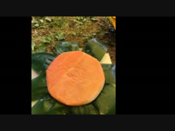 バイク乗ってどこか行こうかな＃6