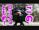 このロリコンどもめ！【バックベアード様】作ってみた