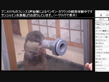 カワウソさんのお家56時間生中継＠サンシャイン水族館　けもフレ部分2