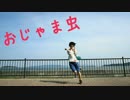 【うさ犬】おじゃま虫 踊ってみた