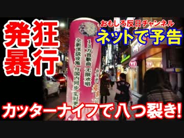 【韓国人が旭日旗に発狂暴行】 カッターナイフで八つ裂き！