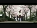 [ヨーコ_洋梓】Mr.music  カナダの桜の下で一緒にダンス！