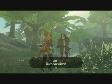 【実況】愛に生きるゼルダの伝説ブレスオブザワイルド part93