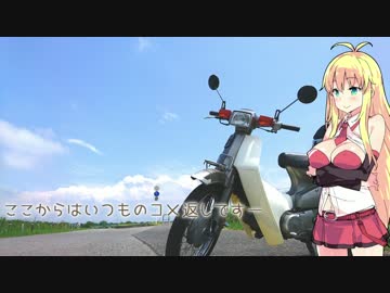 関東甲信越小さなバイク旅【2017】第9回成田山新勝寺②